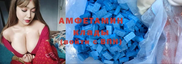 амф Аркадак