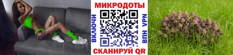 Галлюциногенные грибы ЛСД Майкоп