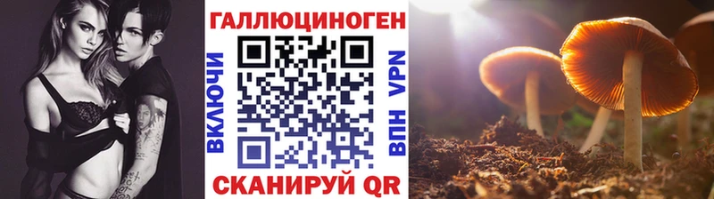 Галлюциногенные грибы MAGIC MUSHROOMS  купить наркотики сайты  Майкоп 